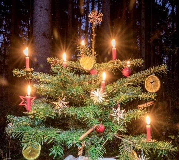 Weihnachtsbaum