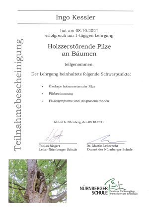 fortbildung_08.10.2021_holzzerstoerende_pilze_an_baeumen_nuernberger_schule.jpg