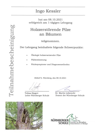 Fortbildung holzzerstörende Pilze an Bäumen 08.10.2021
