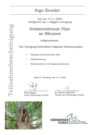 Fortbildung Holz zerstörende Pilze an Bäumen 13.11.2020